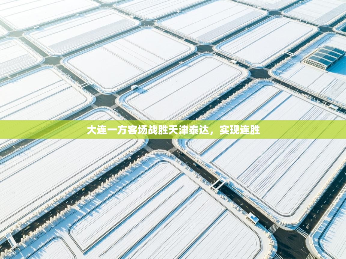 大连一方客场战胜天津泰达，实现连胜  第1张