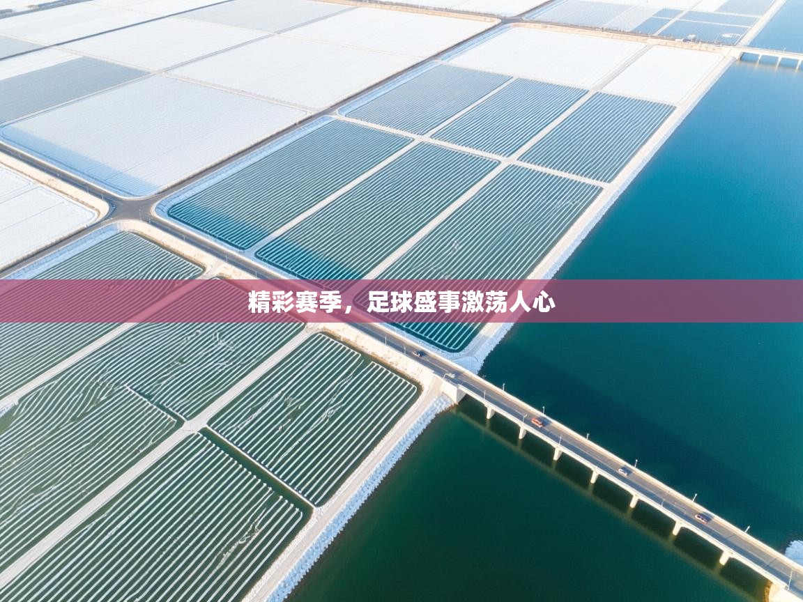 精彩赛季，足球盛事激荡人心  第1张