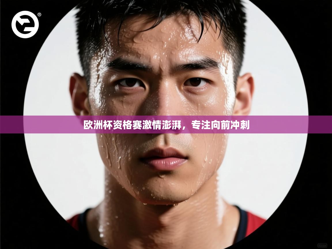欧洲杯资格赛激情澎湃,专注向前冲刺 第2张