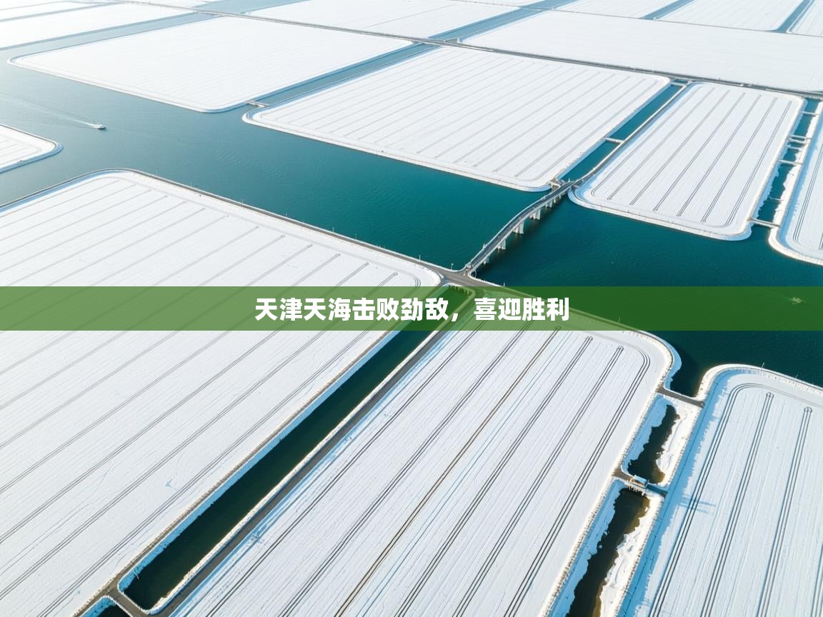 天津天海击败劲敌,喜迎胜利 第2张